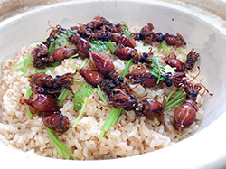 雪若丸どんぶりレシピコンテスト